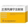 正清風(fēng)痛寧注射液