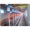 養殖料線自動化養豬設備正紅農牧專業定制