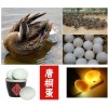 唐桐蛋 鴨蛋 唐河特產(chǎn) 南陽(yáng)特產(chǎn) 禮盒裝20枚 鮮蛋68元