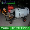 手推噴霧機，手推噴霧機廠家 農機價格