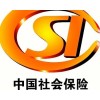 海口社保辦理，如何代繳企業(yè)五險(xiǎn)公積金，分公司社保掛靠
