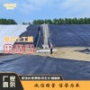 防滲復(fù)合土工膜 尾礦堤壩加固防水防滲膜 水產(chǎn)魚塘養(yǎng)殖膜